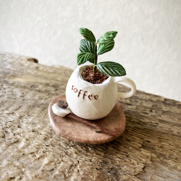 8035.bud 粘土の鉢植え コーヒーの木セット 2枚目の画像
