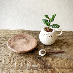 8035.bud 粘土の鉢植え コーヒーの木セット 5枚目の画像