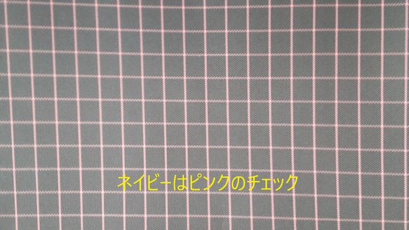 【送料無料】はっ水ナイロン　スーツケース用バックインバック 6枚目の画像