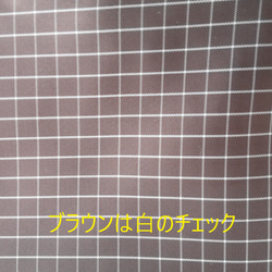 【送料無料】はっ水ナイロン　スーツケース用バックインバック 5枚目の画像