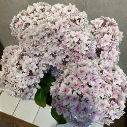 c7316d060390a3fed23ca9691b33f5