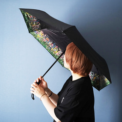 6b491b79bf5b9848a9a2df3ca62726