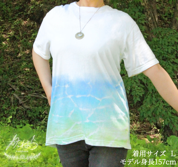 コットンＴシャツ　minamo 4枚目の画像