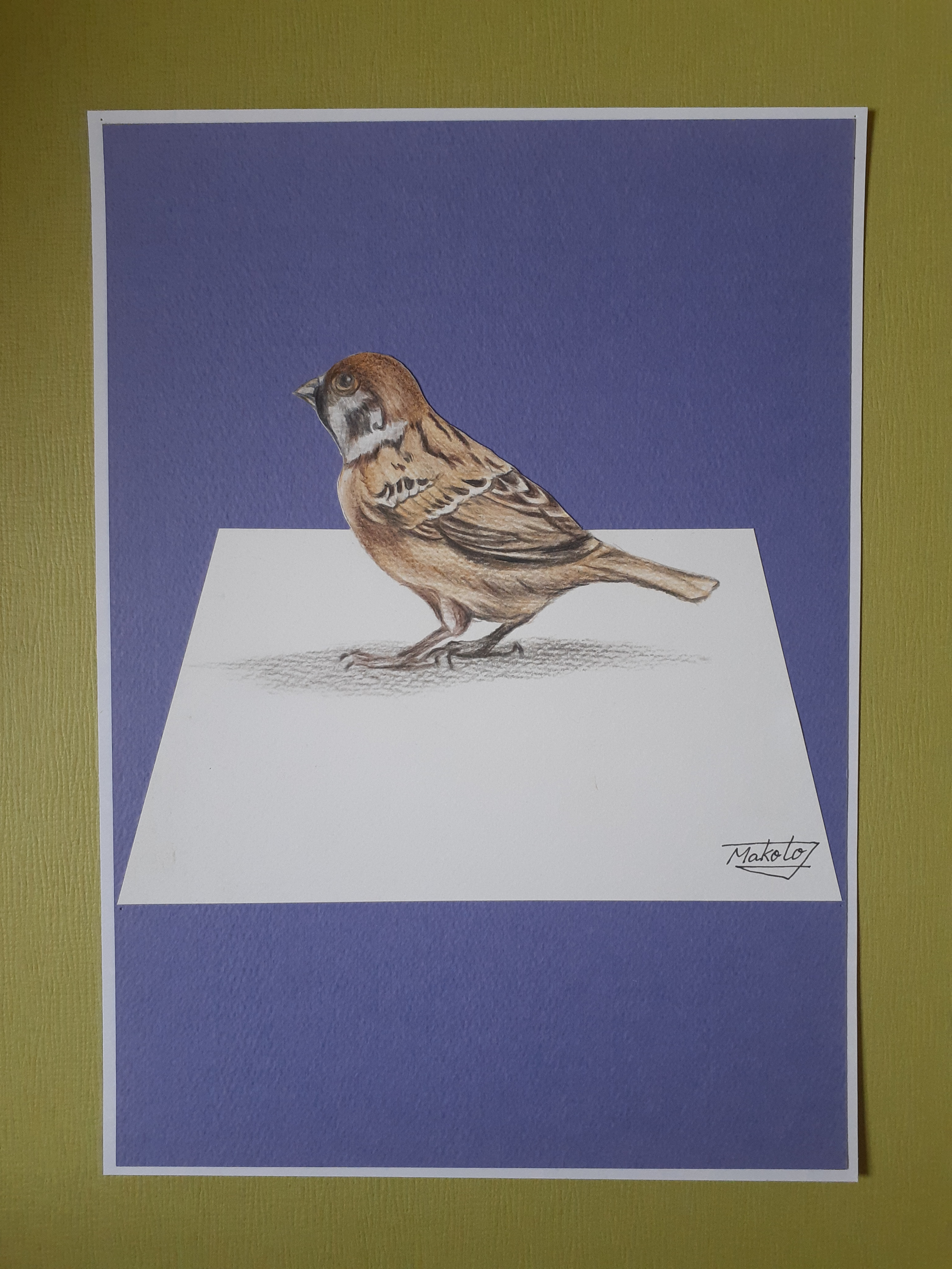 3D水彩色鉛筆画 すずめ 絵画 makochin 通販 16032874｜Creema