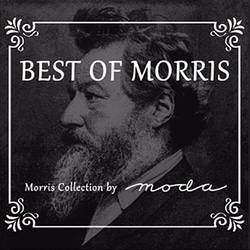 新入荷！МОDA モダ『 BEST OF MORRIS 　オパール加工　8076-16』～50㎝単位でカット～ 7枚目の画像