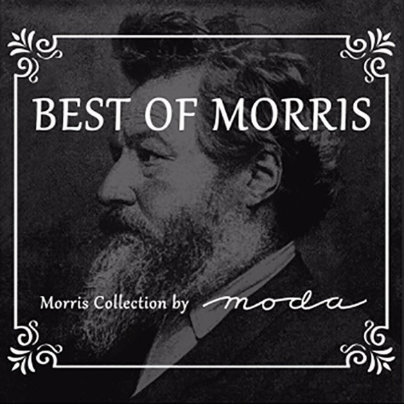 新入荷！МОDA モダ『 BEST OF MORRIS 　オパール加工　8076-16』～50㎝単位でカット～ 7枚目の画像