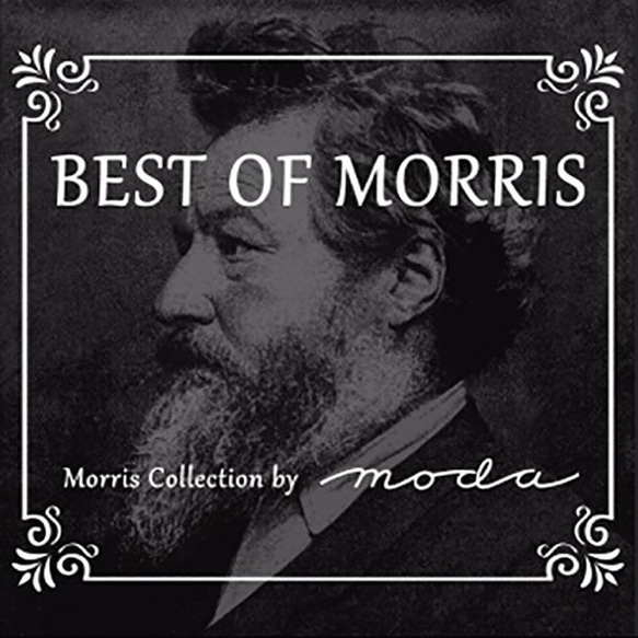 新入荷！МОDA モダ『 BEST OF MORRIS 　オパール加工　8076-17ムラサキ系』～50㎝単位でカット～ 7枚目の画像