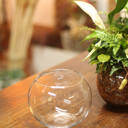 季節の室内用グリーン　おまかせ　寄せ植えブリコラージュフラワー　ガラスポット　観葉植物 11枚目の画像