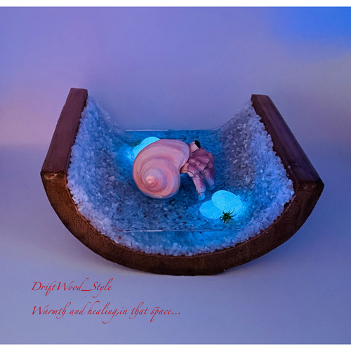 オブジェ 置物 流木アート 海の世界を閉じ込めた流木アート 浅瀬を歩くヤドカリ 水中ジオラマ