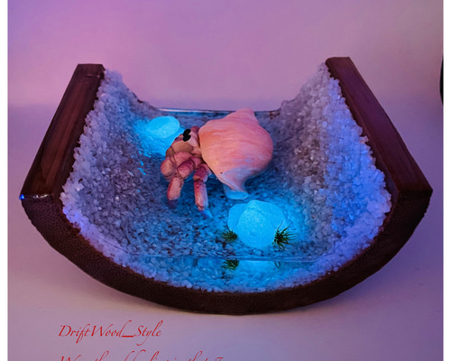 流木 一点物 オブジェ インテリア 和 飾物 置物 美術 71wDArXVguL._UF894,1000_QL80_.jpg