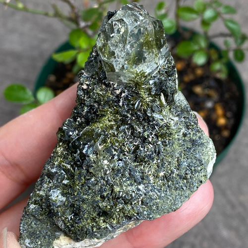 ガーデンクォーツ♢エピドートクラスター♢ヒマラヤンクォーツ 原石