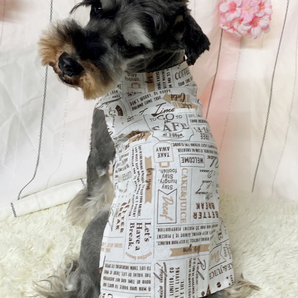 英字柄裏毛ニットの犬の服 犬服】英字柄スタンドカラーてぬぐいシャツ☆(ホワイトor