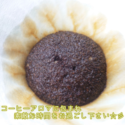 コロンビア マジョルカ農園 エキセルソ 200g【84.5点】 スペシャルティ  コーヒー  珈琲 自家焙煎 コーヒー 8枚目の画像