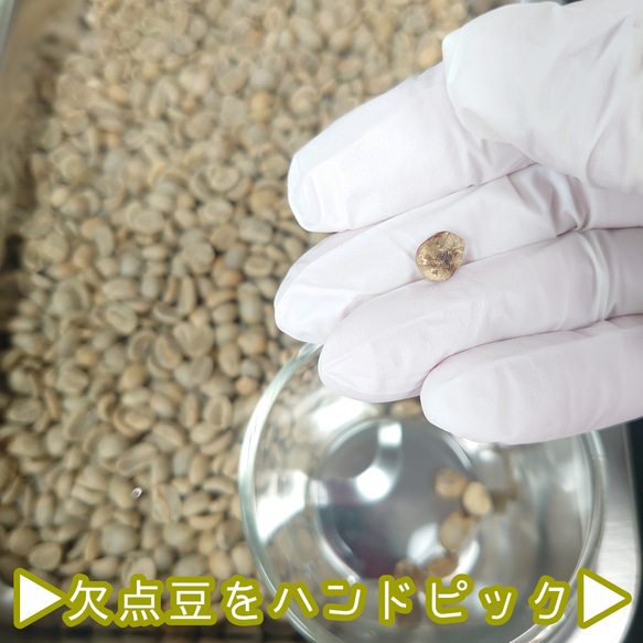 コロンビア マジョルカ農園 エキセルソ 200g【84.5点】 スペシャルティ  コーヒー  珈琲 自家焙煎 コーヒー 5枚目の画像