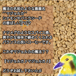 コロンビア マジョルカ農園 エキセルソ 200g【84.5点】 スペシャルティ  コーヒー  珈琲 自家焙煎 コーヒー 2枚目の画像