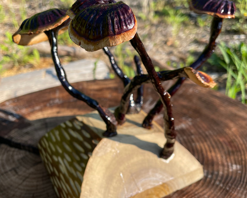 霊芝 置物 直径25cm 高さ20cm 300g - メルカリ 霊芝 置物 直径25cm 高