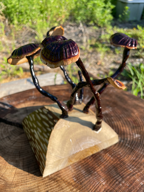 万年茸(霊芝）きのこのオブジェ キノコインテリア 立体・オブジェ 貫木