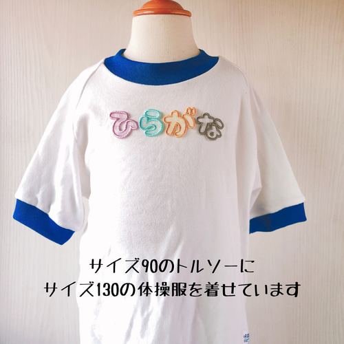30mmチェック柄のひらがなワッペン 名前シール てむっと 通販 16034116