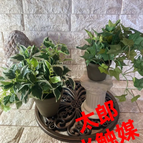 光触媒 人工観葉植物 ウォールグリーン フェイクグリーン 東北