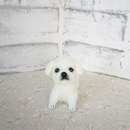 ★K-K★羊毛フェルト【ペキニーズ】犬　オーダー 専用☆羊毛フェルト【ペキニーズ】オーダー 犬 メモリアル オーダー