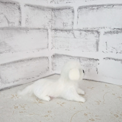 羊毛フェルト  犬  ペキニーズ 4枚目の画像