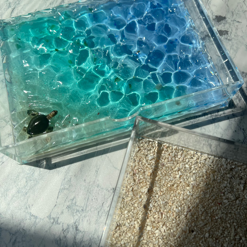 アンコウ　鮟鱇　さ深海魚　小皿　さらに　カラトリー　アクセサリーケース　海　魚 日本 和風 和柄 アンコウ 鮟鱇 深海魚 食器 小皿 皿 豆皿 醤油皿