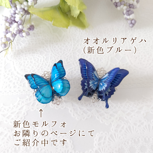 美麗オオルリアゲハの置物 美麗オオルリアゲハの置物 papilio ulysses