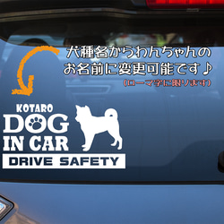 『犬種名・DOG IN CAR・DRIVE SAFETY・アメリカン ブリー』ステッカー　9cm×17cm 3枚目の画像