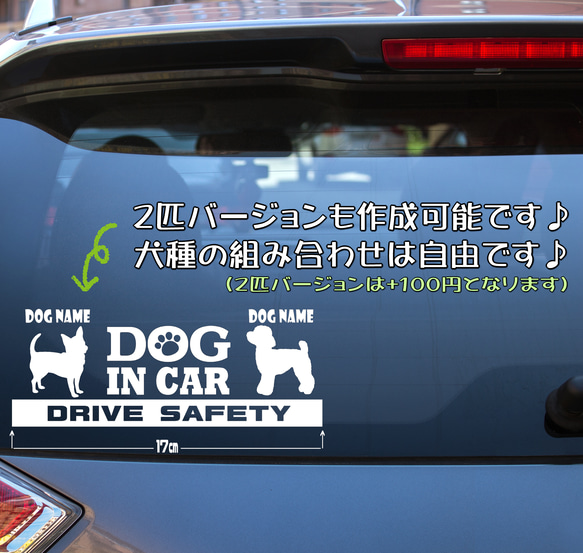 『犬種名・DOG IN CAR・DRIVE SAFETY・アメリカン ブリー』ステッカー　9cm×17cm 4枚目の画像