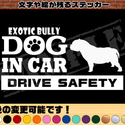 犬種名・DOG IN CAR・DRIVE SAFETY・エキゾチック ブリー』ステッカー