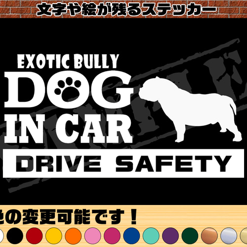 犬種名・DOG IN CAR・DRIVE SAFETY・エキゾチック ブリー』ステッカー