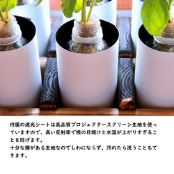 【水耕栽培スタンド　ウッドナチュラル】植物と一緒に暮らすための提案です！ すぐに始められるスターターキット付き！ 5枚目の画像