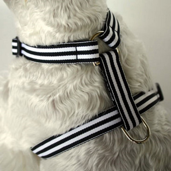 犬H型ハーネス 幅1.9㎝~2.5㎝ Mod Stripe Black リード・首輪 犬H型ハーネス 幅1.9㎝~2.5㎝ Mod Stripe Black リード・首輪