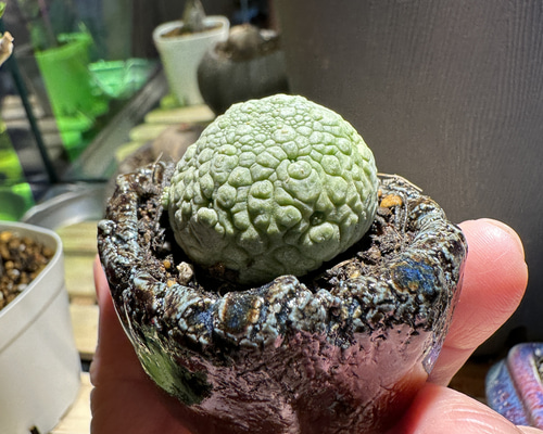 e20d2685ff3e32b2612e0e11e2abc4