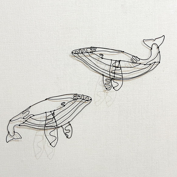 シロナガスクジラ②　くじら　クジラ　鯨　ワイヤーアート　立体　壁掛け【受注販売】 6枚目の画像