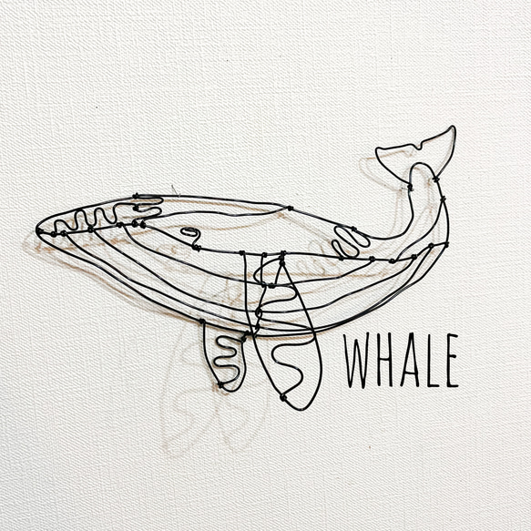 シロナガスクジラ②　くじら　クジラ　鯨　ワイヤーアート　立体　壁掛け【受注販売】 1枚目の画像