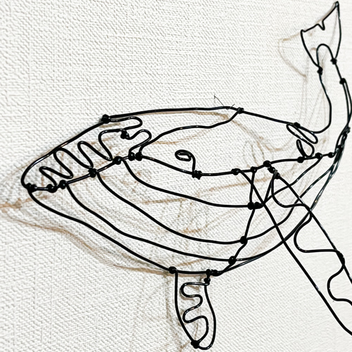シロナガスクジラ② くじら クジラ 鯨 ワイヤーアート 立体