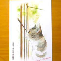 ポストカード「窓の外の雨を眺める猫の横顔」みしまゆかり１０枚セット 2枚目の画像