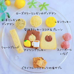 期間限定！クッキー缶【紅茶＆レモン(小)】 3枚目の画像
