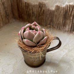 粘土のお花】オールドローズアレンジ クレイフラワー モルタル