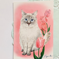 ❹花と猫 (３枚セット) 4枚目の画像