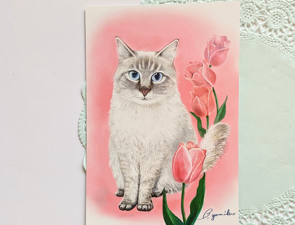 ❹花と猫 (３枚セット) 4枚目の画像