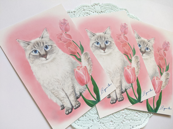 ❹花と猫 (３枚セット) 3枚目の画像