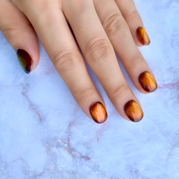 オレンジ】マグネットネイルチップ ネイルチップ（つけ爪） kenny 