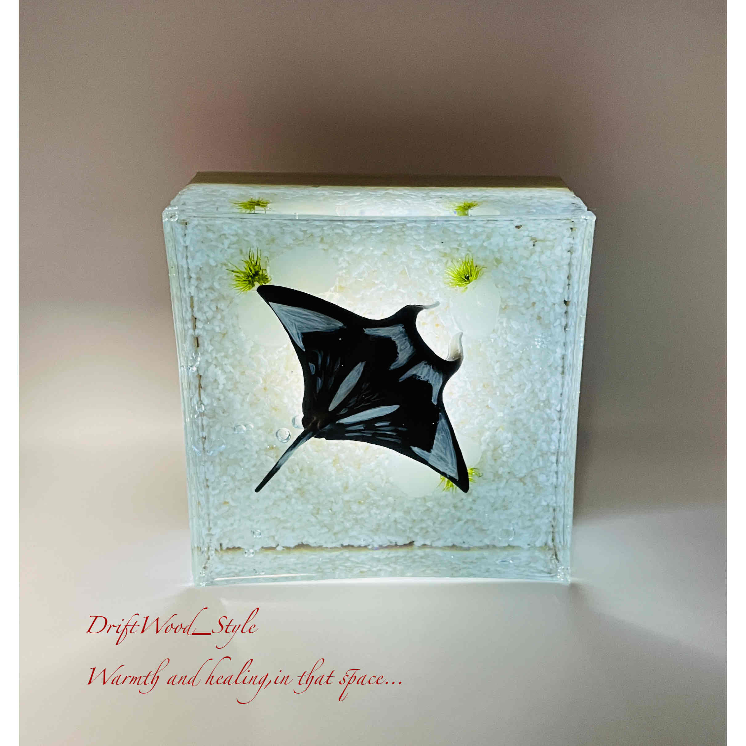 【受注制作】海の世界を閉じ込めた流木アート マンタ 水中ジオラマ 流木 オブジェ アクアリウム LEDライト付