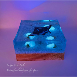 【受注制作】海の世界を閉じ込めた流木アート マンタ 水中ジオラマ 流木 オブジェ アクアリウム LEDライト付 4枚目の画像