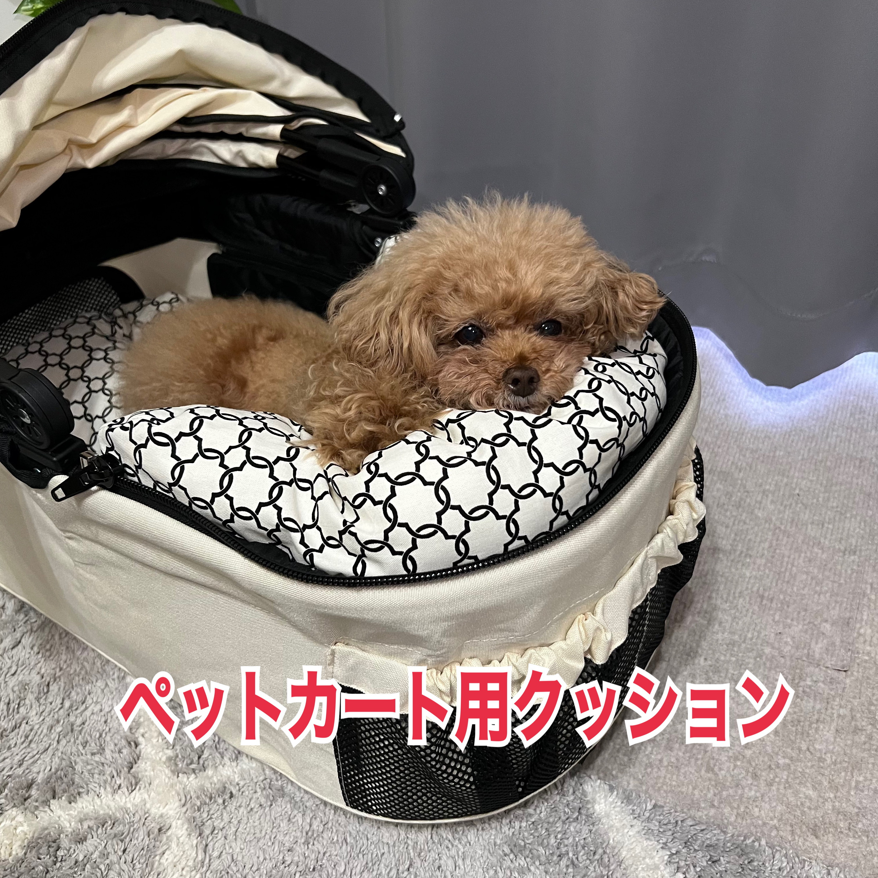 ペットカート用クッション 2点セット（ブルー） 楽天市場】ペットカート クッション（犬用品｜ペット・ペット