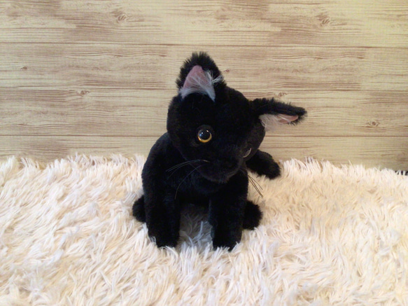 黒猫子猫　 3枚目の画像