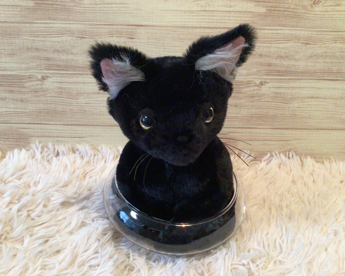 黒猫ページ 黒猫 on X: 