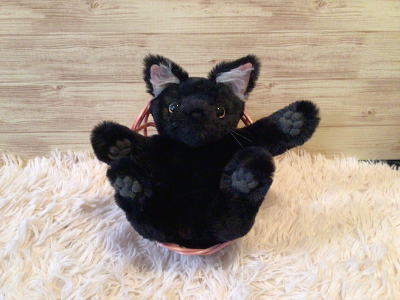 黒猫子猫　 10枚目の画像